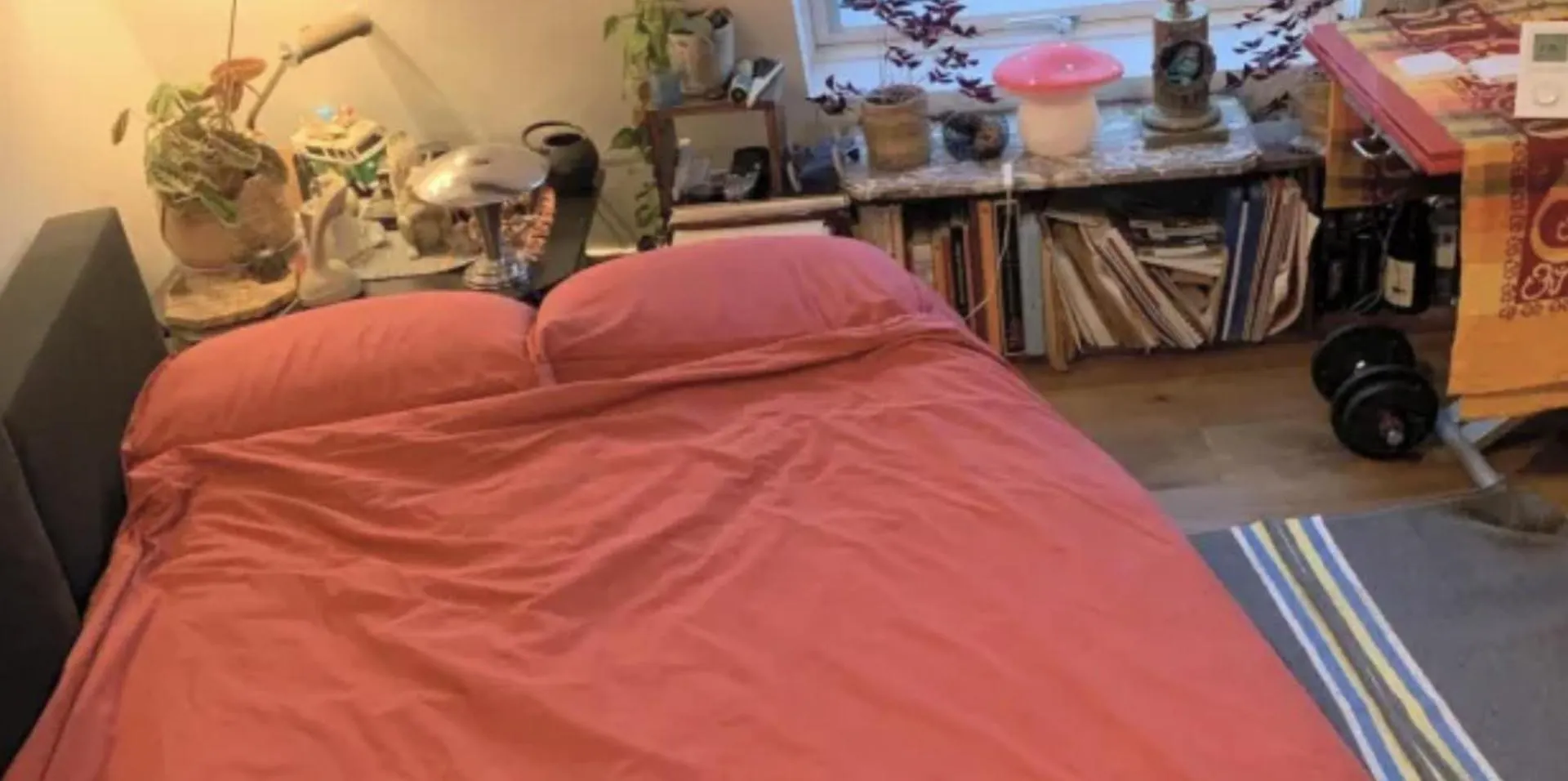 Homestay Sous Les Toits De Shared Place Paris